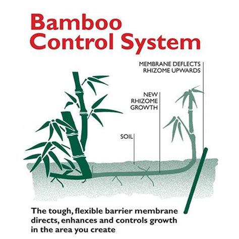 Bamboo Root Control System Barrier Control Gardening Direct