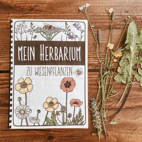 Herbarium Und Steckbriefe Zu Wiesenpflanzen Unterrichtsmaterial Im