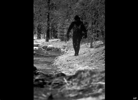 Bigfoot Dna Tests Melba Ketchums Research Results Are Bogus Claims