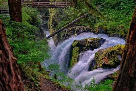 Washington Waterfall River Forest Bridge Stream Wallpaper 2048x1366