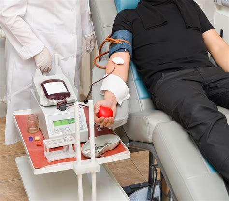 Dia Nacional do Doador de Sangue: 15 motivos para doar ...