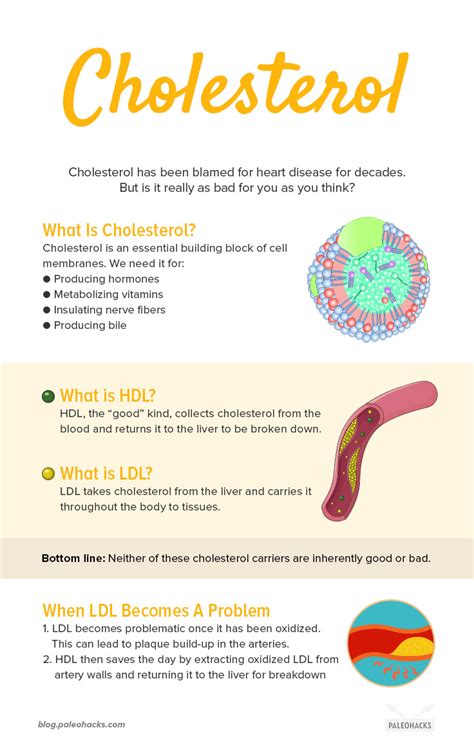 Your Guide To Good Vs Bad Cholesterol Paleohacks