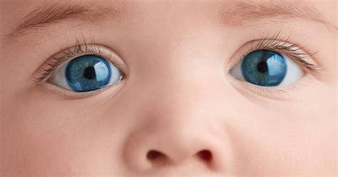 Is It Ethical To Choose Your Babys Eye Color Wsj