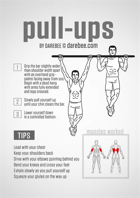 Pull Up Bar Workout Routine For Beginners