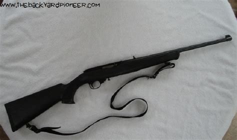 The Twenty Year Plan For My Ruger 1022