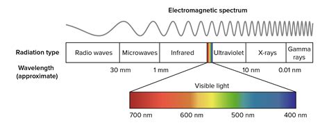 Wavelength Of Light Photosynthesis