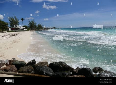 Beaches Of Barbados Stock Photo Alamy