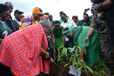 tree planting with the first lady and kenya defence forces the green belt movement