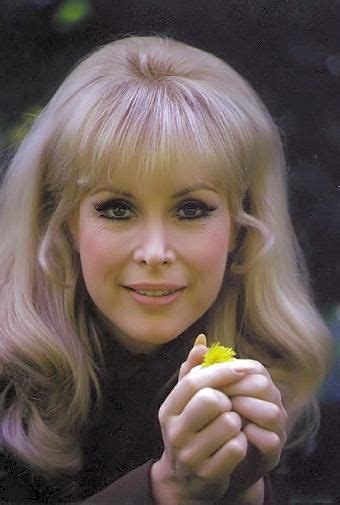 barbara eden has the the most beautiful smile and symmetry of face description from pinterest