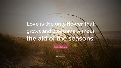 Khalil Gibran Quote “love Is The Only Flower That Grows And Blossoms
