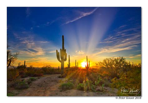 Carpebella Photography Scenery Sonora Desert Sunset