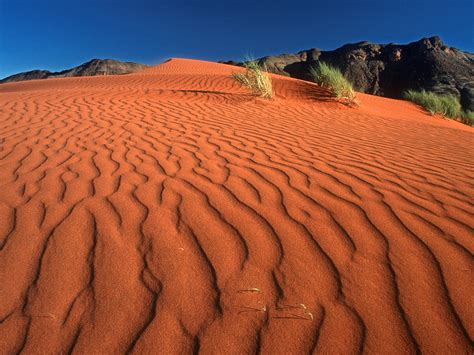 #meinesafari #meinsüdafrika #südafrikawirsehenuns impressum und links unter: Crawling on the Dune / Namib Rand Nature Reserve / Namibia ...