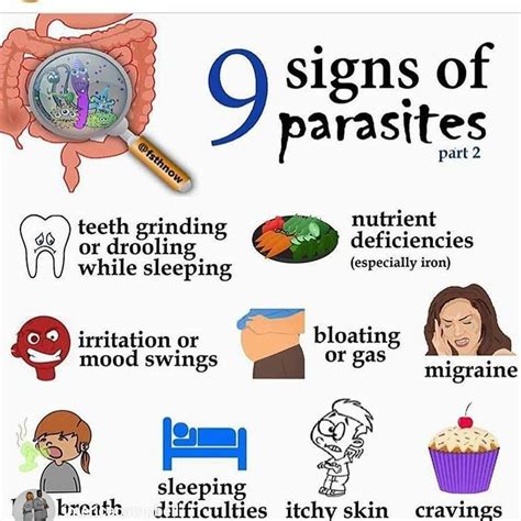 What Are Symptoms Of A Parasite In Your Body Parasite Martlab Pro