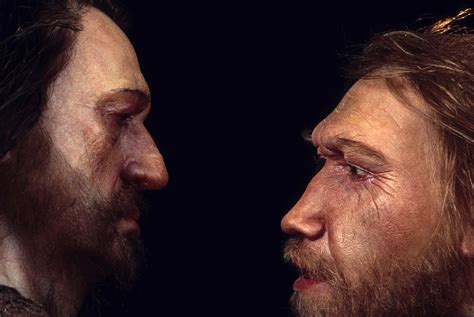 Science Seeks Clues To Human Health In Neanderthal Dna Wbur News