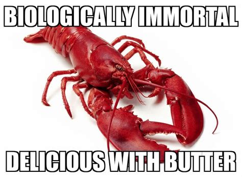 10 Best Rcrabmemes Images On Pholder You Cannot Travel When Enemies