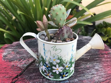 Cactus party favor in terra cotta pot. Mini White Watering Can Pot.Succulent, Cactus Planter ...