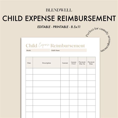 Child Expense Log Child Reimbursement Expense Log for Custody - Etsy