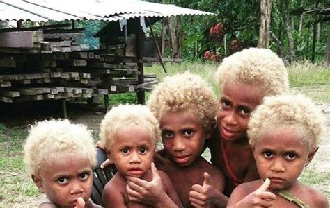 Melanesians The Only Natural Black Blondes On The Planet Slviki