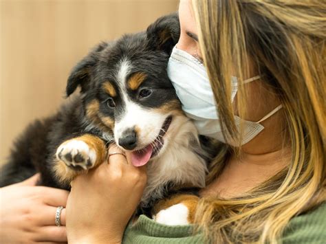 Petland Puppy Giveaway Winner Gets New Puppy - Petland Florida