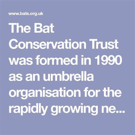 The Bat Conservation Trust Was Formed In 1990 As An Umbrella