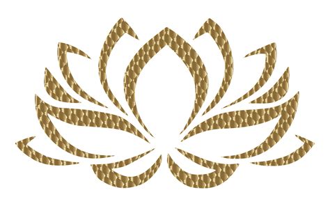 Golden Lotus Flower 4 Variation 2 No Background Clip Art Image Clipsafari