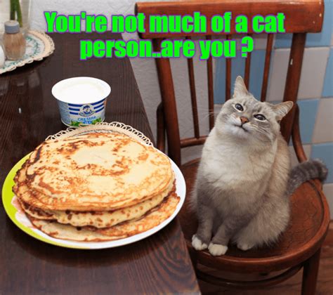 You Call This Breakfast Funny Animal Pictures Cute Funny Animals