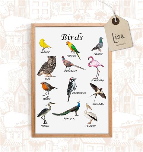 Birds School Poster Bird Art Classroom Posters Classroom Etsy