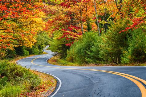 Best Scenic Venues Near Auburn To See The Fall Colors