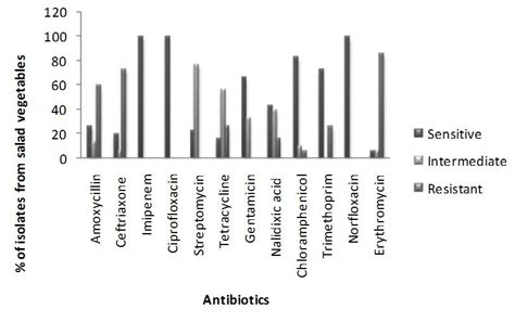 Antibiotic Sensitivity Pattern Of Klebsiella Spp Isolated From Salad