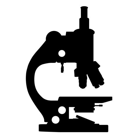 Microscope Vector Eps Download Free Vectors Clipart Graphics