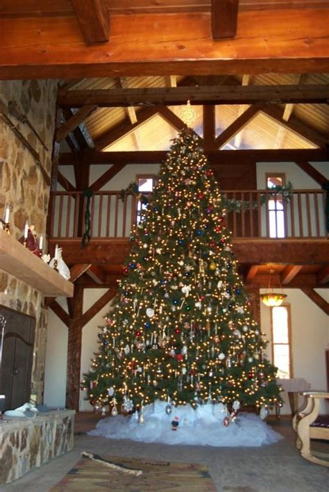 A Magnificent 15 Ft Balsam Hill Vermont White Spruce Christmas Tree