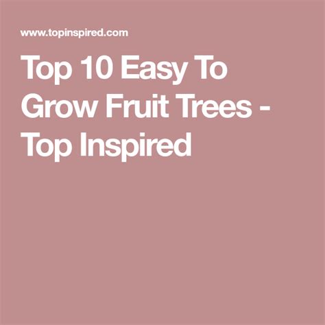 Top 10 Easy To Grow Fruit Trees Top Inspired Easy To Grow Fruits