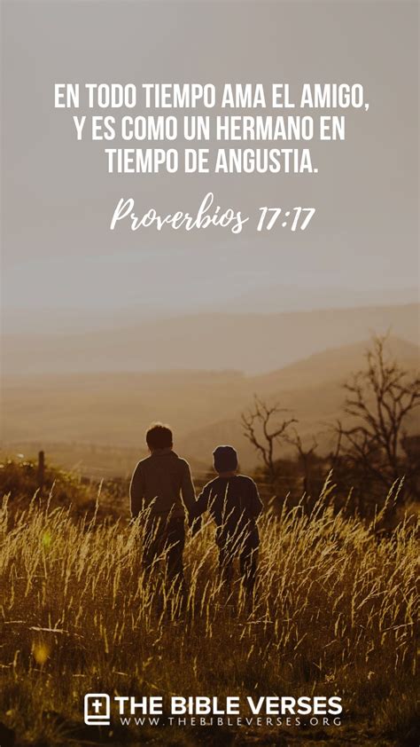 Versículos Bíblicos Sobre El Amor Proverbios 1717 Proverbios 17 17
