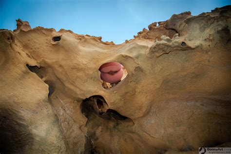 The Naked Ass Pussy In The Rock Free Full Hd Photo Bonnyart Com