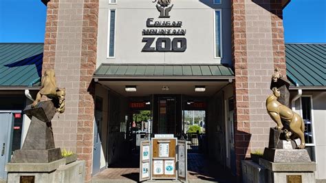Visit Cougar Mountain Zoo Youtube