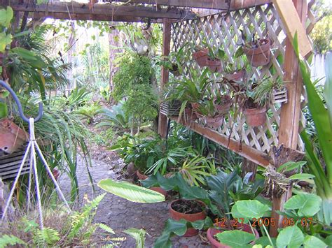 Outdoor Orchid Garden Design Ideas Urban Style Design