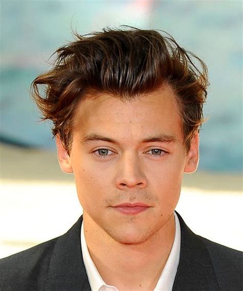 It wasn't until recently when harry's new haircut debuted as a shorter look. Harry Styles Short Wavy Brunette Hairstyle