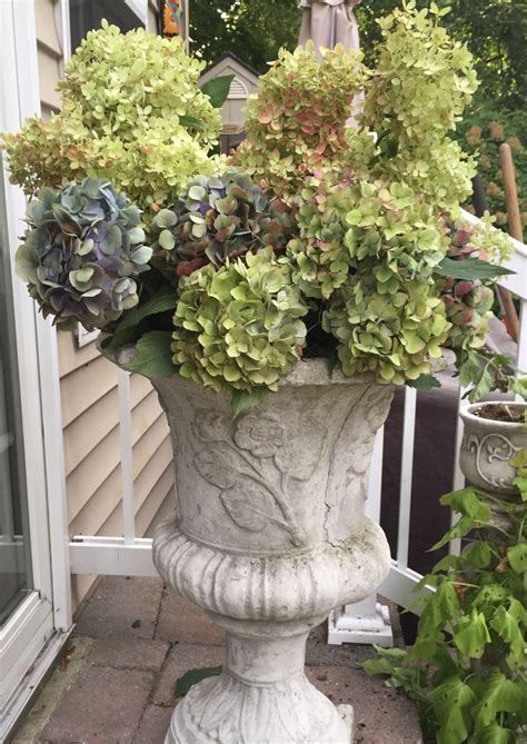 Add Beauty To Your Outdoor Planters With Hydrangea Flowers Fleurs