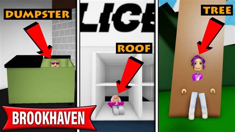 We Played Hide And Seek In Brookhaven Roblox Youtube