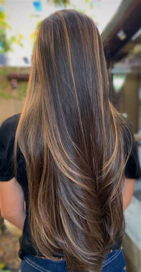 Gorgeous Hair Colour Trends For 2021 Light Brown Highlights