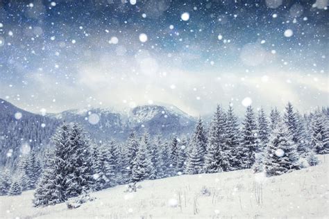 Snowy Winter Night Mountain Forest Starry Sky Pine Trees Photo Poster