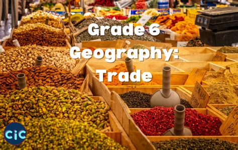 Grade 6 Geography Term 1 Trade Coach In The Class