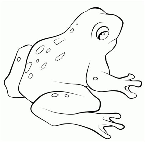 Get This Online Printable Frog Coloring Pages 4g45s