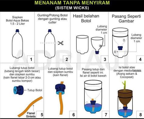 Langkah Mudah Menanam Cabe Hidroponik Dalam Botol