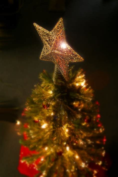 Gather Round The Christmas Tree Free Photo Download Freeimages