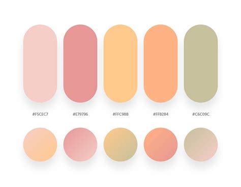 Aesthetic Color Palette Hex Codes Beautiful Color Palettes Their Porn Sex Picture