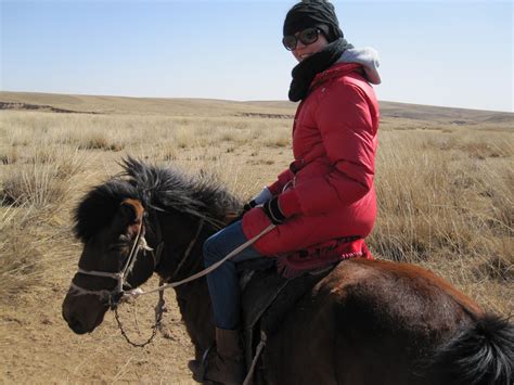 china xilamuren grasslands  horse