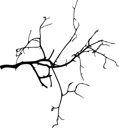 How To Draw A Tree Branch Silhouette Food Ideas
