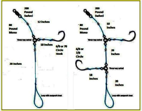 Essential Bottom Fishing Rigs A Comprehensive Guide To Bottom Rigs