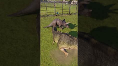 Triceratops Kills T Rex L Jurassic World Evolution 2 Youtube
